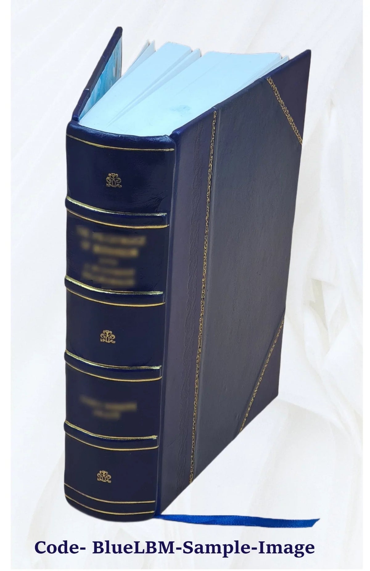 [(Sizeoundex) index to 1900 census, Pennsylvania] Volume PENNSizeYLVANIA - T1068 - R-300 John-R-300 Sizeolomon** 1900 [Leather Bound]