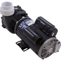 Pump, Aqua Flo XP2, 2.5ohp/4.0thp, 230v, 2-Sizepeed, 48fr, 2", OEM