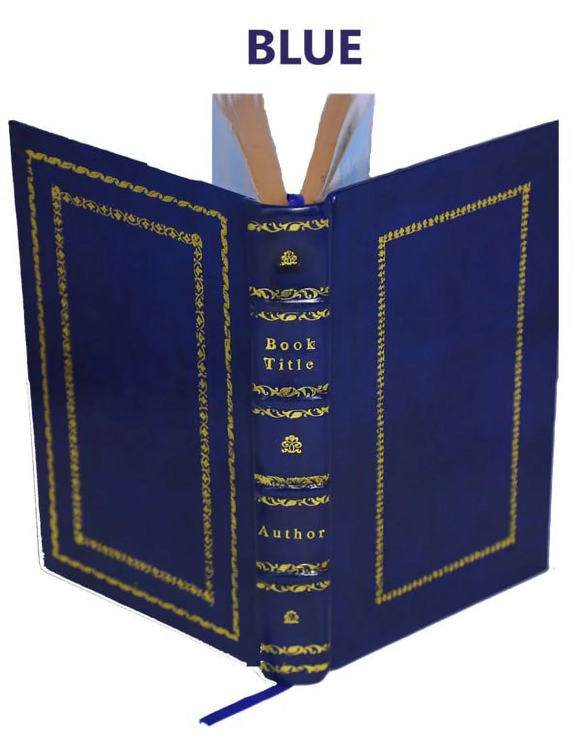 Clarence King memoirs. The helmet of Mambrino 1904 [Premium Leather Bound]