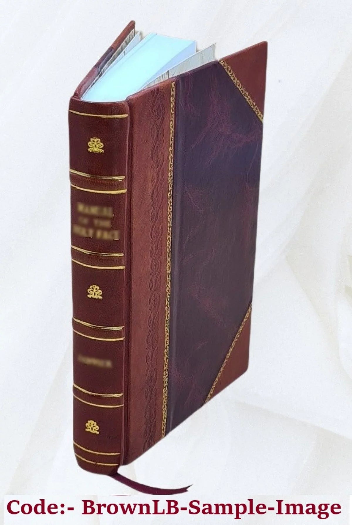 La "Petite Hermine" de Jacques Cartier, et diverses monographies historiques, par N.-E. Dionne. 1913 [Leather Bound]