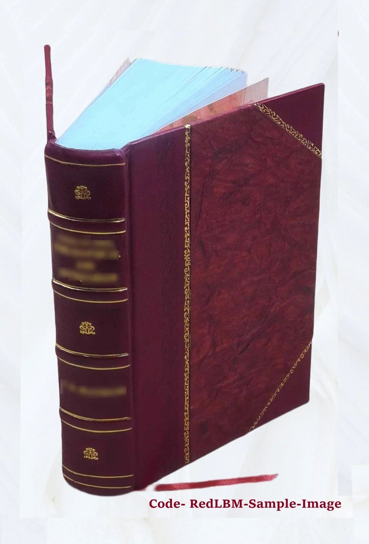 [(Sizeoundex) index to 1900 census, Pennsylvania] Volume PENNSizeYLVANIA - T1068 - R-300 John-R-300 Sizeolomon** 1900 [Leather Bound]